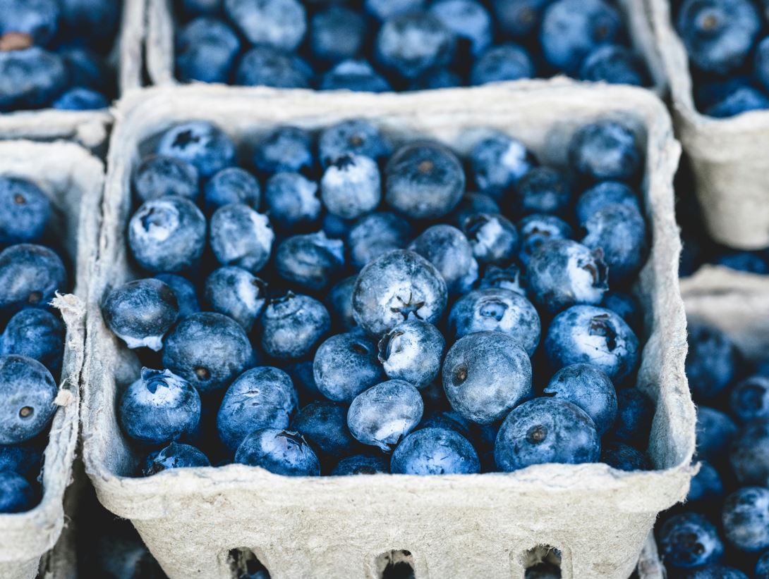 Reasons for Craving Blueberries